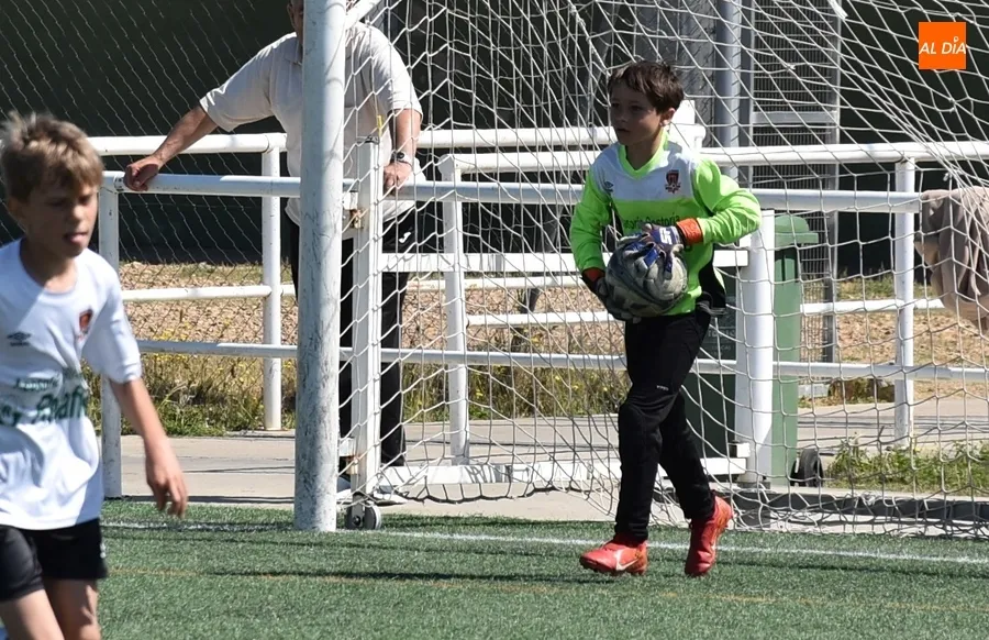 Foto 8 - #M [11-12 MAY] C&oacute;modas victorias para despedir la liga del Alev&iacute;n B y el Benjam&iacute;n del Ciudad Rodrigo