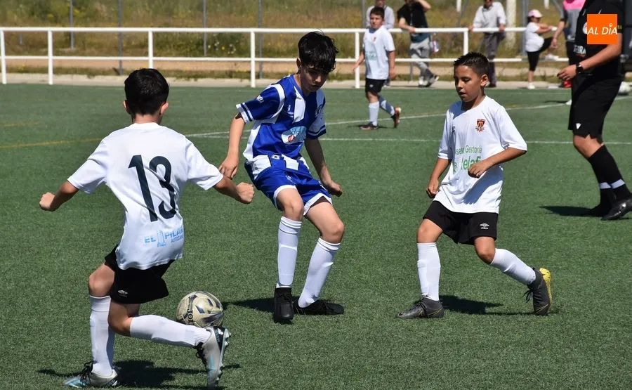Foto 10 - #M [11-12 MAY] C&oacute;modas victorias para despedir la liga del Alev&iacute;n B y el Benjam&iacute;n del Ciudad Rodrigo