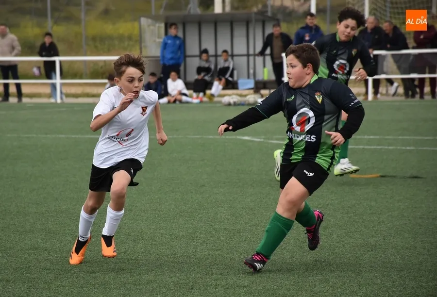 Foto 4 - Los alevines A y B del Ciudad Rodrigo ascienden &lsquo;en diferido&rsquo; tras impedir la fiesta in situ el Jai Alai