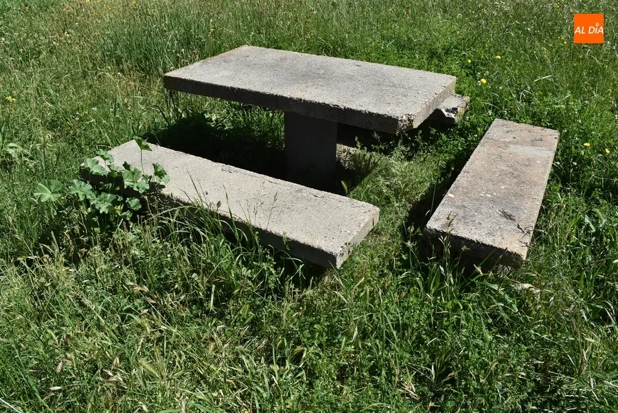 Foto 2 - Nuevas quejas por la hierba alta junto a La Pesquera y en la cuesta de las Emes