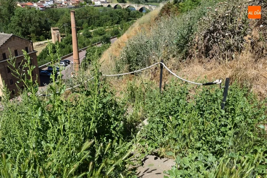 Foto 5 - Nuevas quejas por la hierba alta junto a La Pesquera y en la cuesta de las Emes