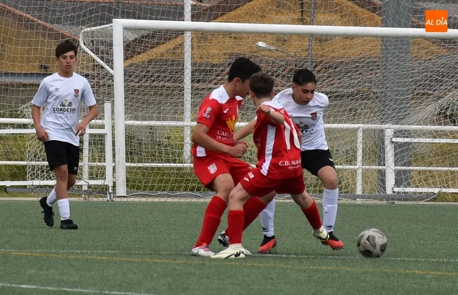 Foto 2 - El Infantil del Ciudad Rodrigo se despide de su afici&oacute;n goleando al Navega B