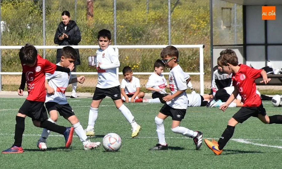 Foto 2 - #M [4-5 MAY] El Prebenjam&iacute;n del Ciudad Rodrigo sale victorioso de su toma y daca goleador ante Calasanz