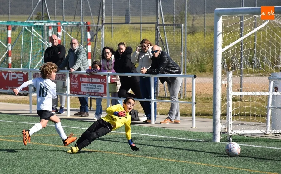 Foto 3 - #M [4-5 MAY] El Prebenjam&iacute;n del Ciudad Rodrigo sale victorioso de su toma y daca goleador ante Calasanz