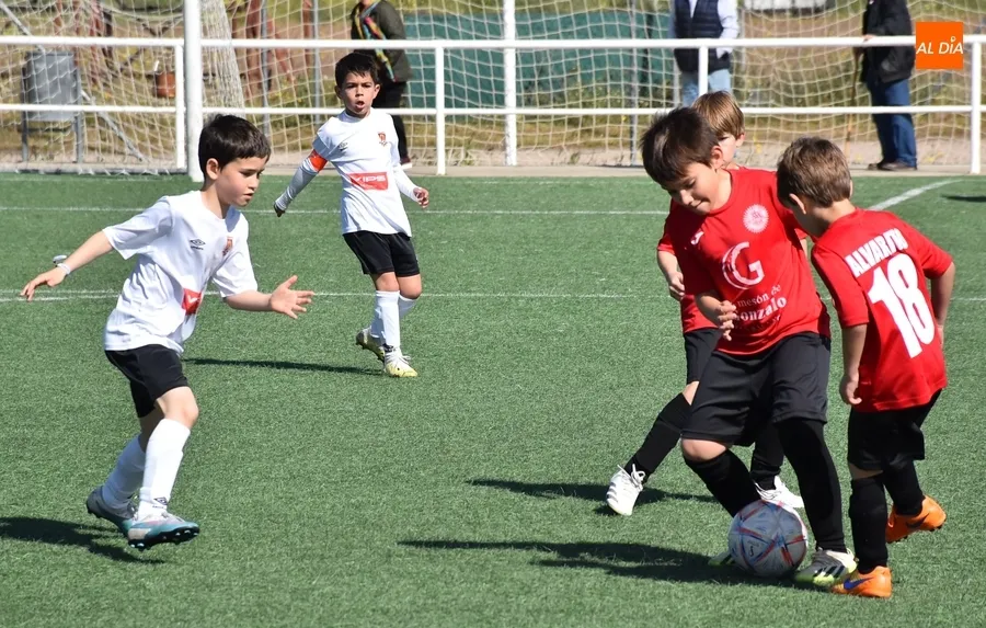 Foto 9 - #M [4-5 MAY] El Prebenjam&iacute;n del Ciudad Rodrigo sale victorioso de su toma y daca goleador ante Calasanz