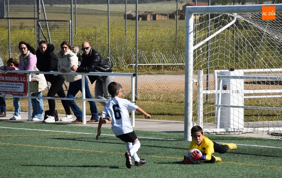 Foto 10 - #M [4-5 MAY] El Prebenjam&iacute;n del Ciudad Rodrigo sale victorioso de su toma y daca goleador ante Calasanz