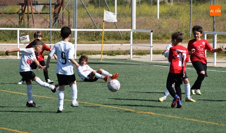 Foto 11 - #M [4-5 MAY] El Prebenjam&iacute;n del Ciudad Rodrigo sale victorioso de su toma y daca goleador ante Calasanz