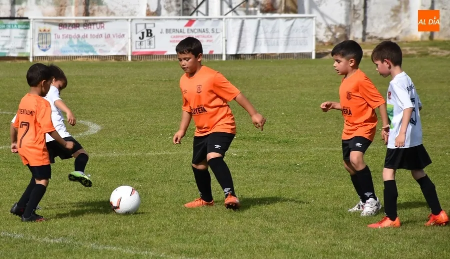 Foto 2 - Motoval se corona campe&oacute;n de la 1&ordf; Liga Prebenjam&iacute;n Siega Verde del Ciudad Rodrigo CF