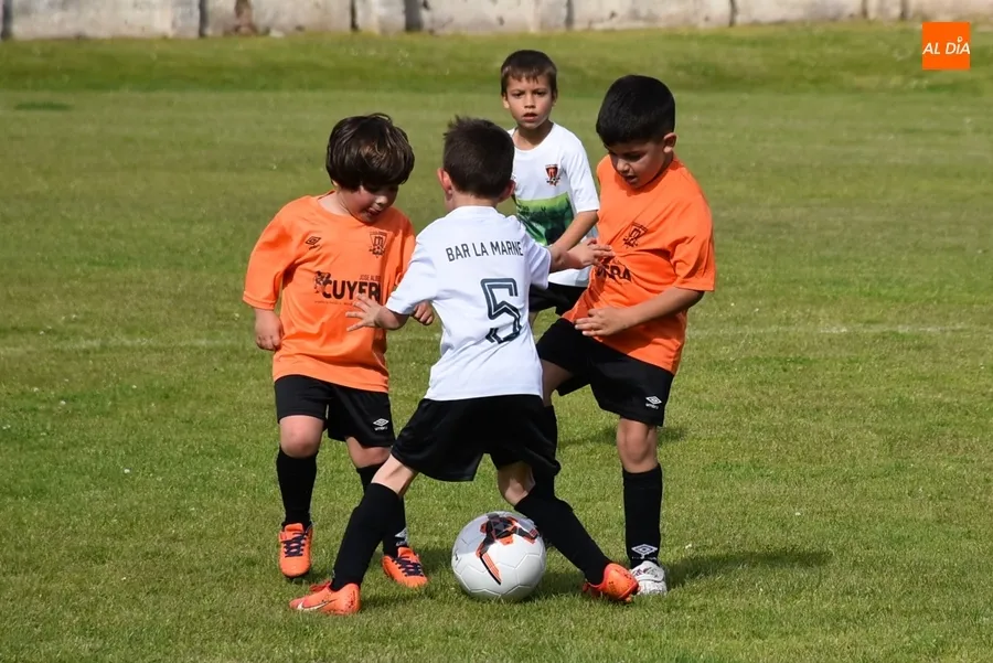 Foto 3 - Motoval se corona campe&oacute;n de la 1&ordf; Liga Prebenjam&iacute;n Siega Verde del Ciudad Rodrigo CF