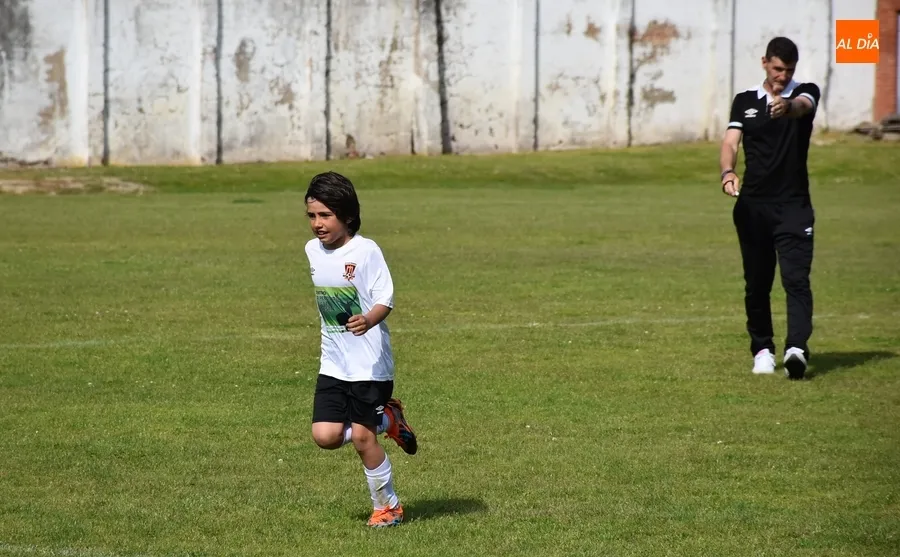 Foto 4 - Motoval se corona campe&oacute;n de la 1&ordf; Liga Prebenjam&iacute;n Siega Verde del Ciudad Rodrigo CF