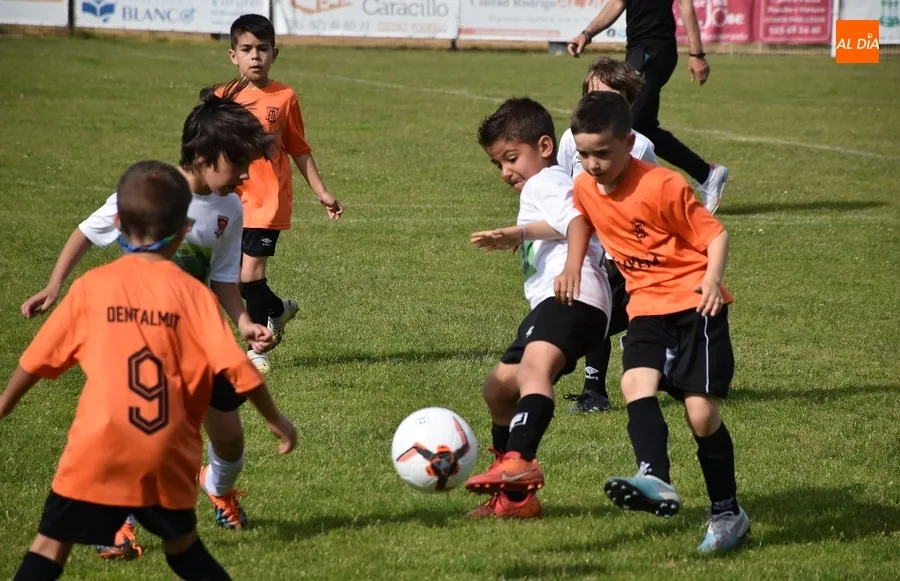 Foto 6 - Motoval se corona campe&oacute;n de la 1&ordf; Liga Prebenjam&iacute;n Siega Verde del Ciudad Rodrigo CF