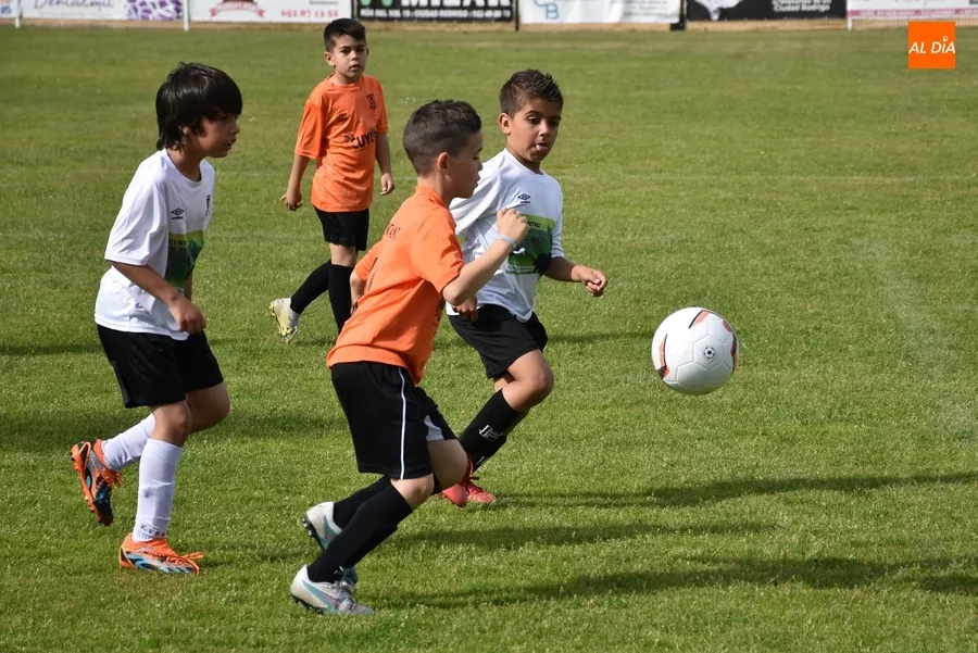 Foto 7 - Motoval se corona campe&oacute;n de la 1&ordf; Liga Prebenjam&iacute;n Siega Verde del Ciudad Rodrigo CF
