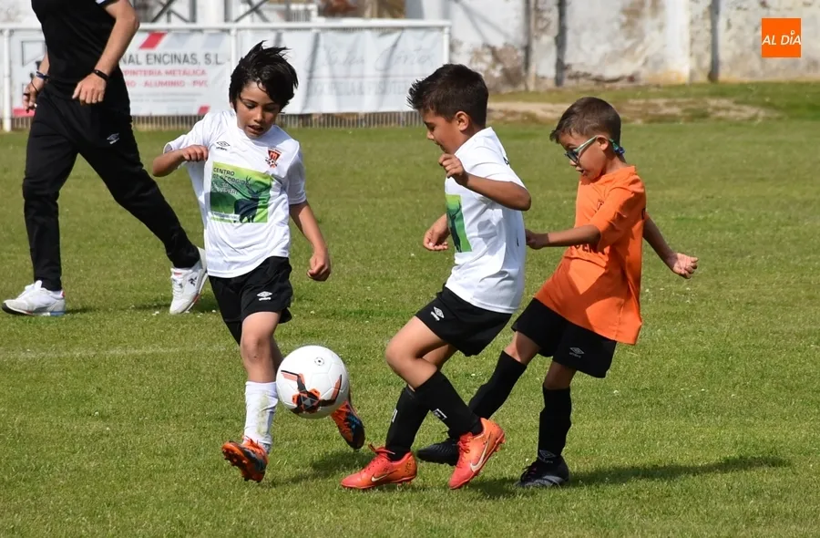 Foto 8 - Motoval se corona campe&oacute;n de la 1&ordf; Liga Prebenjam&iacute;n Siega Verde del Ciudad Rodrigo CF