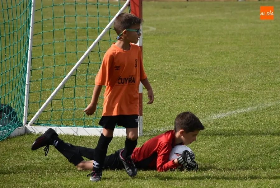 Foto 10 - Motoval se corona campe&oacute;n de la 1&ordf; Liga Prebenjam&iacute;n Siega Verde del Ciudad Rodrigo CF