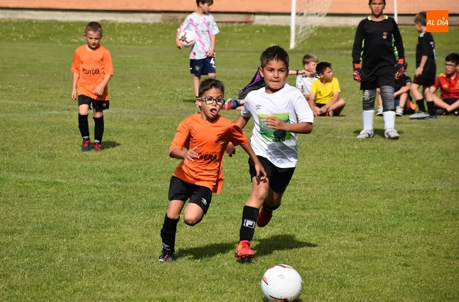 Foto 11 - Motoval se corona campe&oacute;n de la 1&ordf; Liga Prebenjam&iacute;n Siega Verde del Ciudad Rodrigo CF