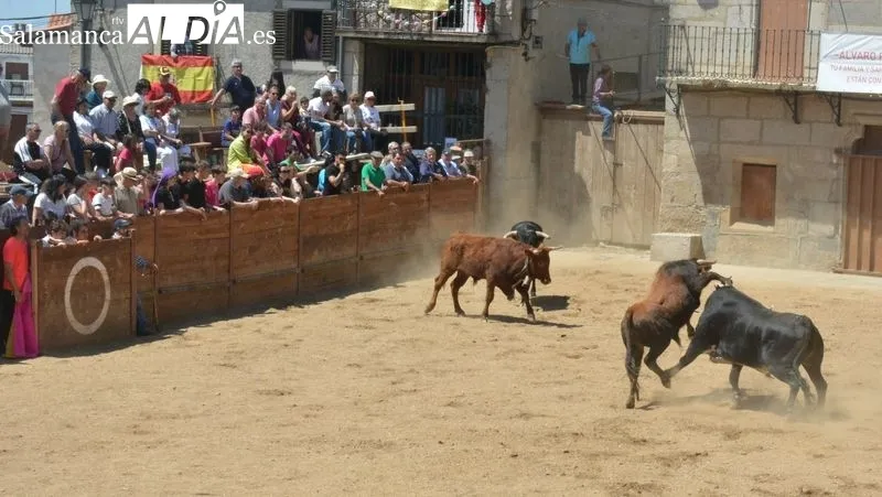 El encierro a caballo y los toros de cajón han atraído a miles de aficionados taurinos