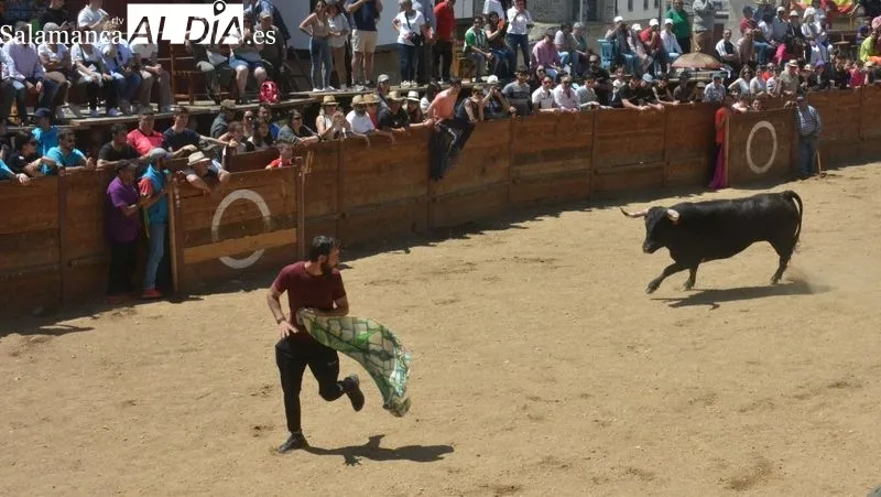 El encierro a caballo y los toros de cajón han atraído a miles de aficionados taurinos
