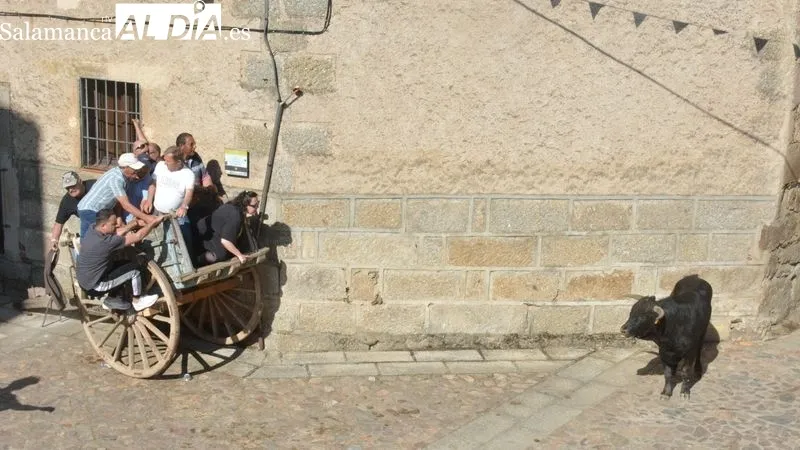 El coso taurino se llenó de público durante la clase práctica de toreo y la capea