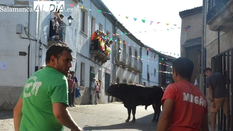 El coso taurino se llenó de público durante la clase práctica de toreo y la capea
