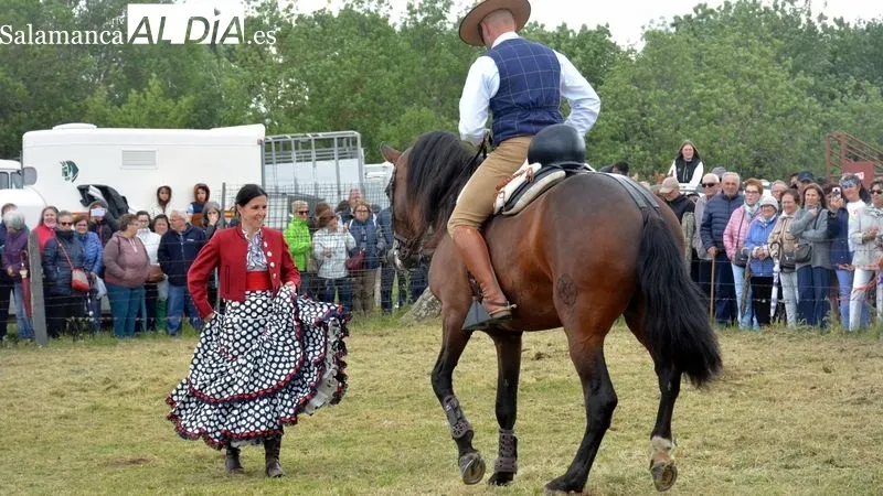 Foto 4 - Lumbrales vive una gran Feria de San Isidro con mucha animaci&oacute;n