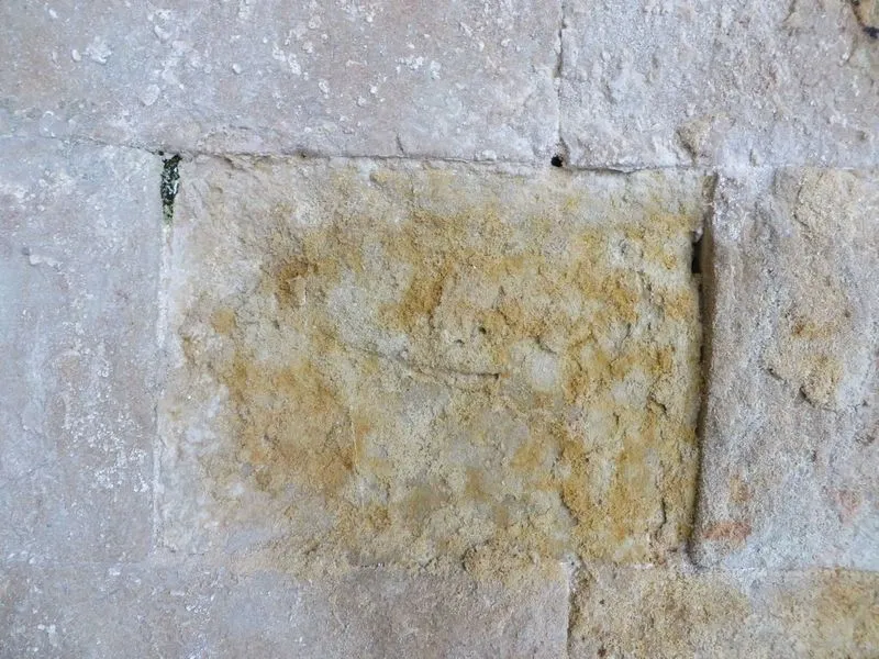 Foto 6 - Apelan a que la Junta y el Gobierno act&uacute;en ante "la indiferencia" del Ayuntamiento con la Cueva de Salamanca