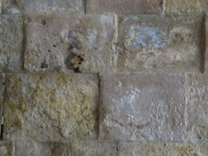 Foto 11 - Apelan a que la Junta y el Gobierno act&uacute;en ante "la indiferencia" del Ayuntamiento con la Cueva de Salamanca
