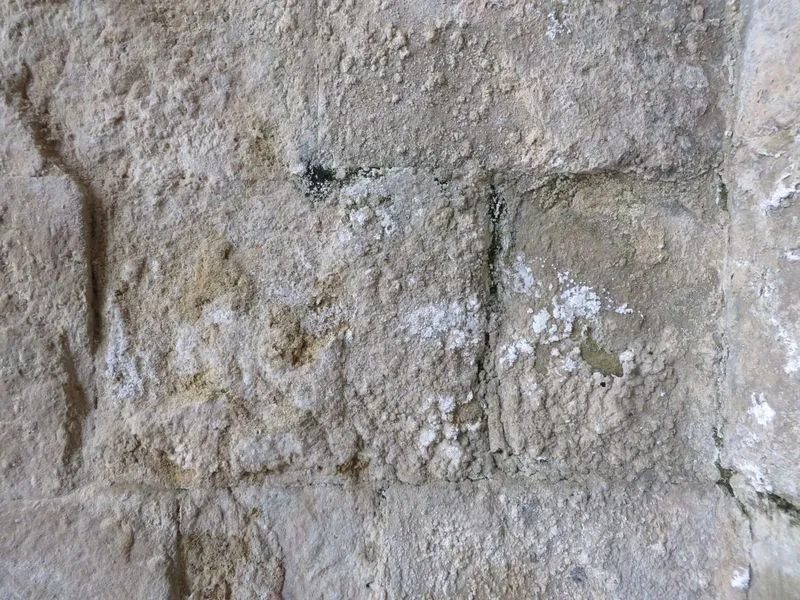 Foto 8 - Apelan a que la Junta y el Gobierno act&uacute;en ante "la indiferencia" del Ayuntamiento con la Cueva de Salamanca