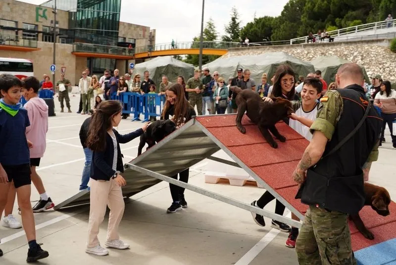 Celebración del Día de las Fuerzas Armadas.