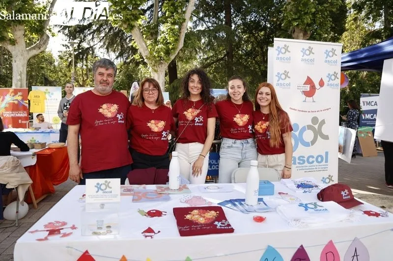 Feria de entidades de voluntariado 'Salamanca nos movemos' en La Alamedilla. Fotos: David Dañudo