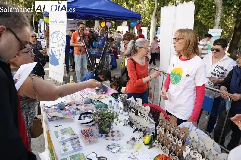 Feria de entidades de voluntariado 'Salamanca nos movemos' en La Alamedilla. Fotos: David Dañudo