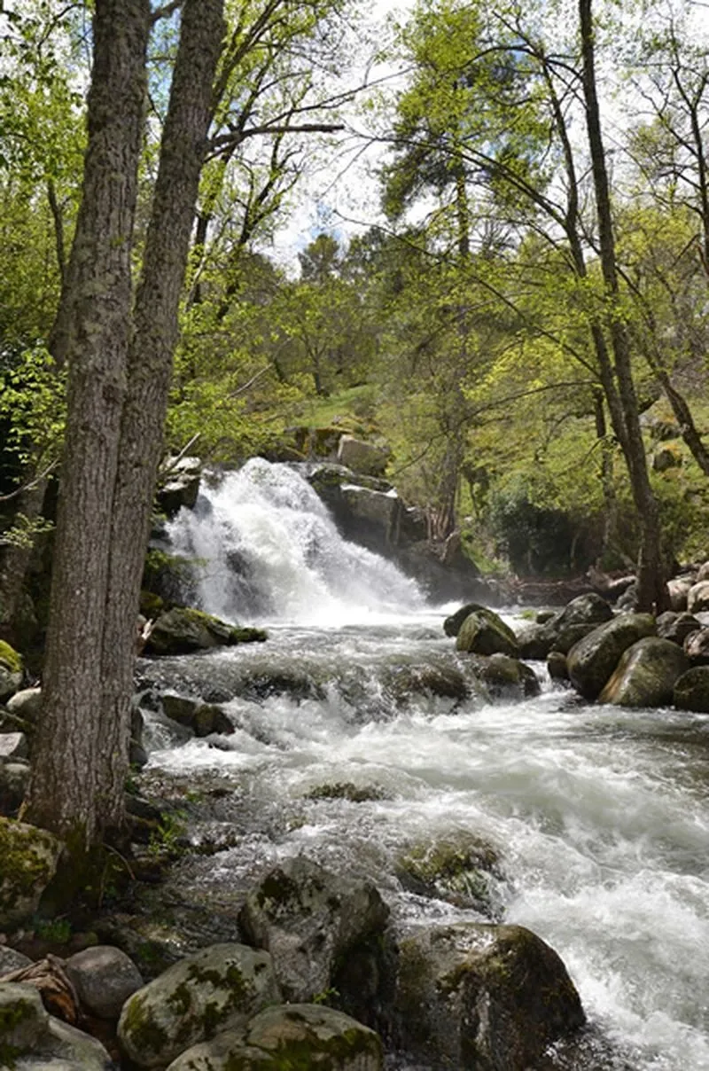 Reserva natural Valle de Iruelas. Fotos: Patrimonio Natural de Castilla y León.