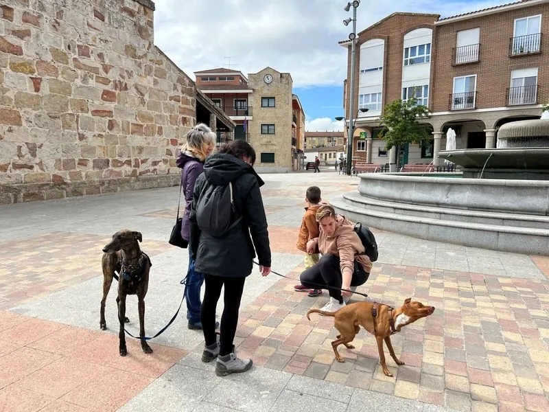 I Feria de Adopción de Mascotas en Carbajosa de la Sagrada.