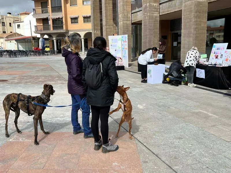 I Feria de Adopción de Mascotas en Carbajosa de la Sagrada.