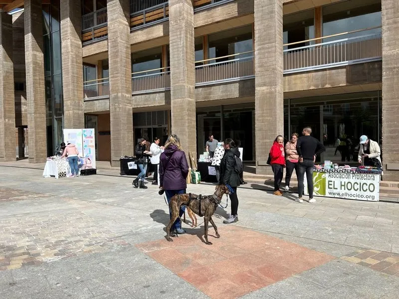 I Feria de Adopción de Mascotas en Carbajosa de la Sagrada.