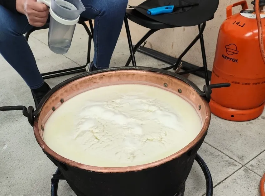 Taller de elaboración de queso en Campo de Ledessma