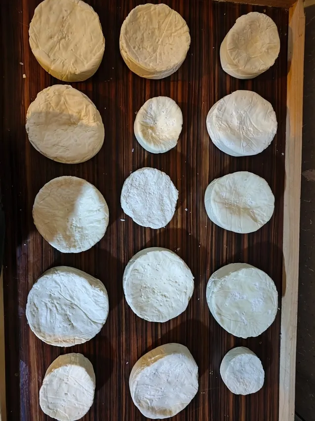 Taller de elaboración de queso en Campo de Ledessma