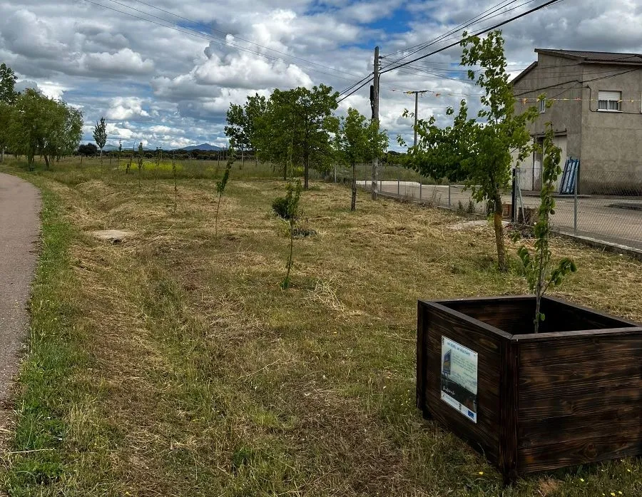 Foto 5 - Plantados 300 &aacute;rboles en Cabrillas dentro de la campa&ntilde;a &lsquo;Un &aacute;rbol. Un habitante&rsquo;