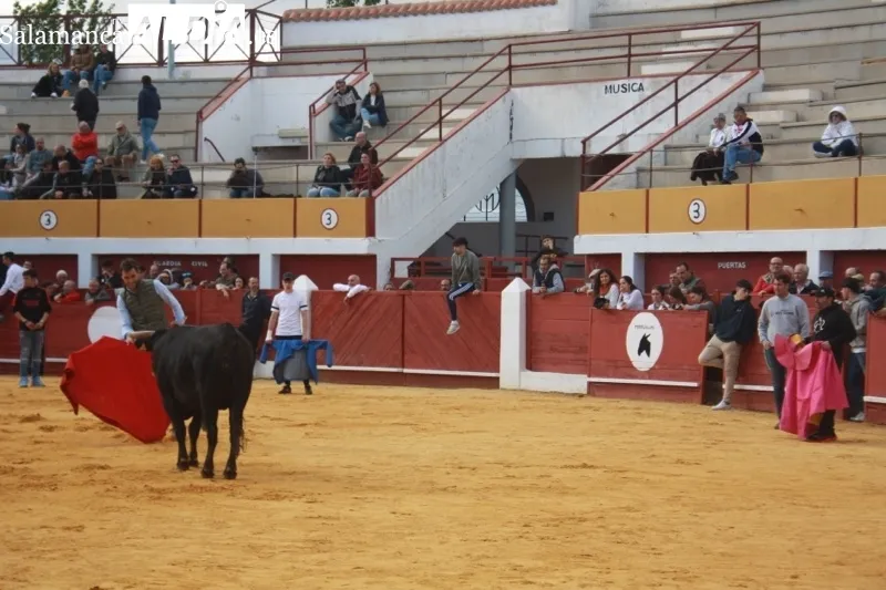 Foto 8 - Gran ambiente en una animada capea popular en Macotera