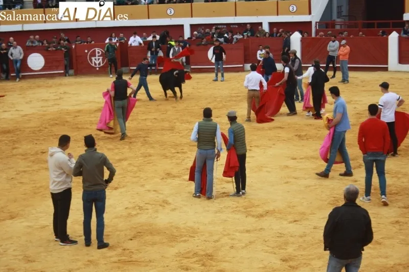 Foto 5 - Gran ambiente en una animada capea popular en Macotera
