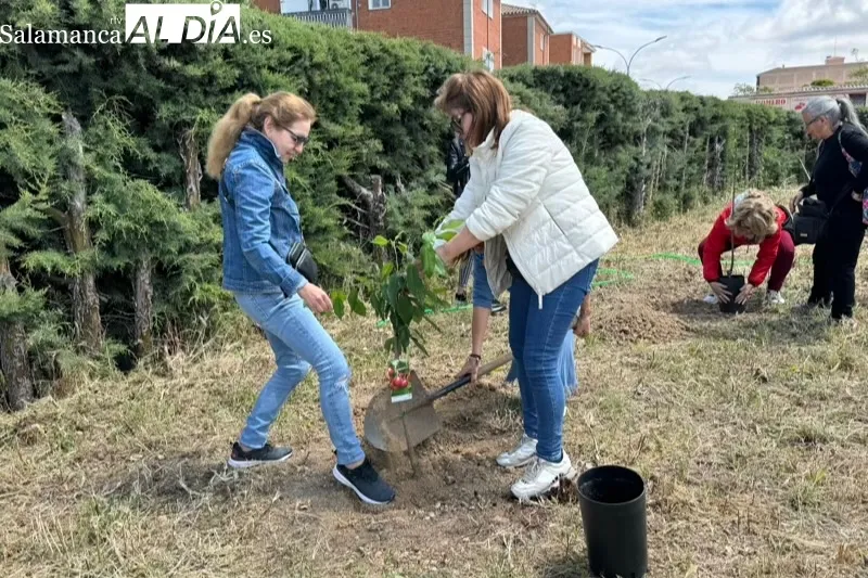 Foto 8 - La plantaci&oacute;n de dos &aacute;rboles frutales despiden el primer y exitoso curso municipal de Yoga