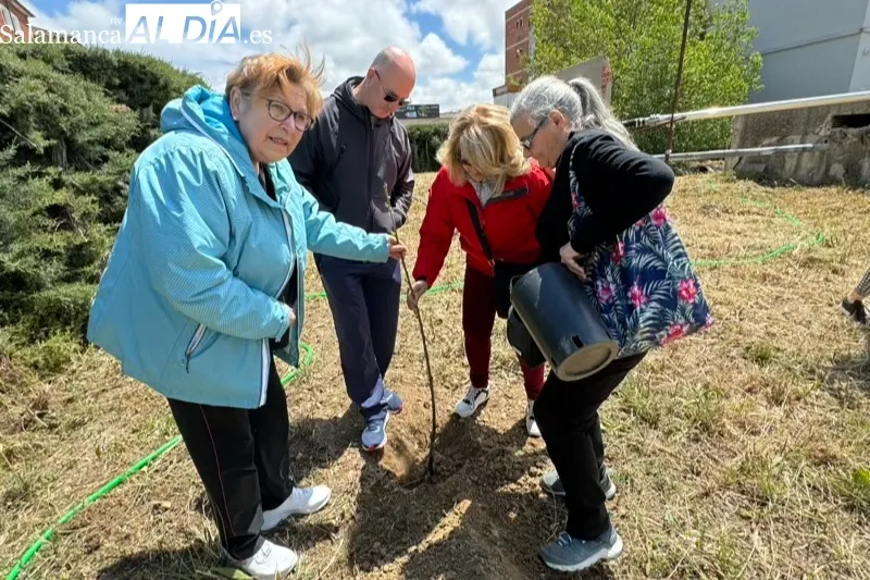 Foto 7 - La plantaci&oacute;n de dos &aacute;rboles frutales despiden el primer y exitoso curso municipal de Yoga