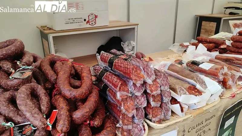 XVI Feria del Aceite y el Olivar y VI Feria de Maquinaria del Olivar en Vilvestre / CORRAL 
