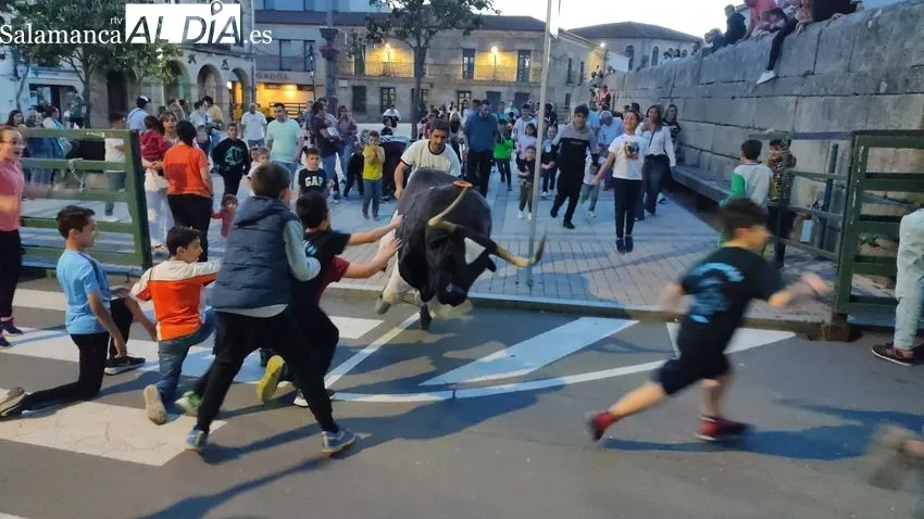Emoción en las calles de Vitigudino / CORRAL