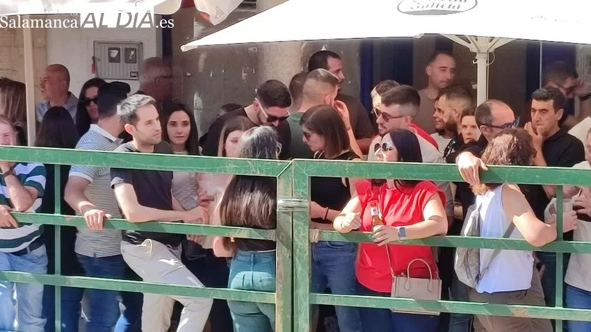 Nuevo éxito del Toro de Cajón en Vitigudino / CORRAL