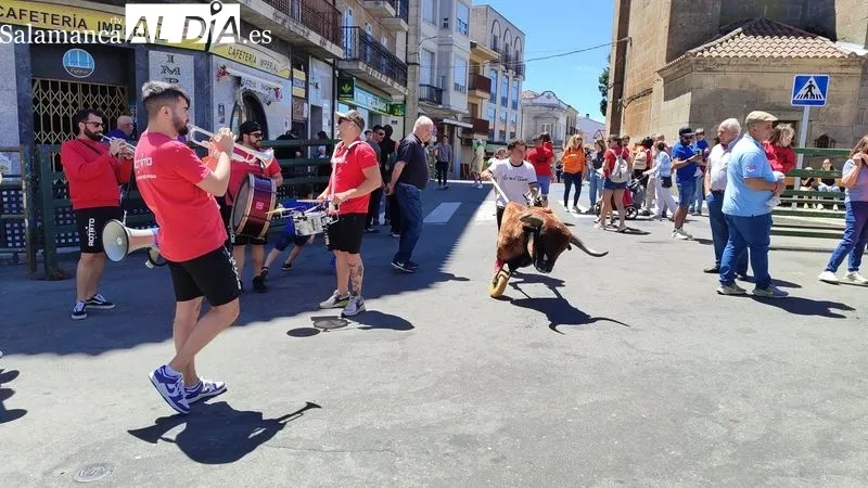 Encierro del viernes de Corpus y encierro infantil en Vitigudino / CORRAL