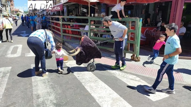 Encierro del viernes de Corpus y encierro infantil en Vitigudino / CORRAL