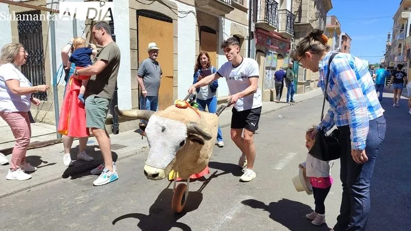 Encierro del viernes de Corpus y encierro infantil en Vitigudino / CORRAL