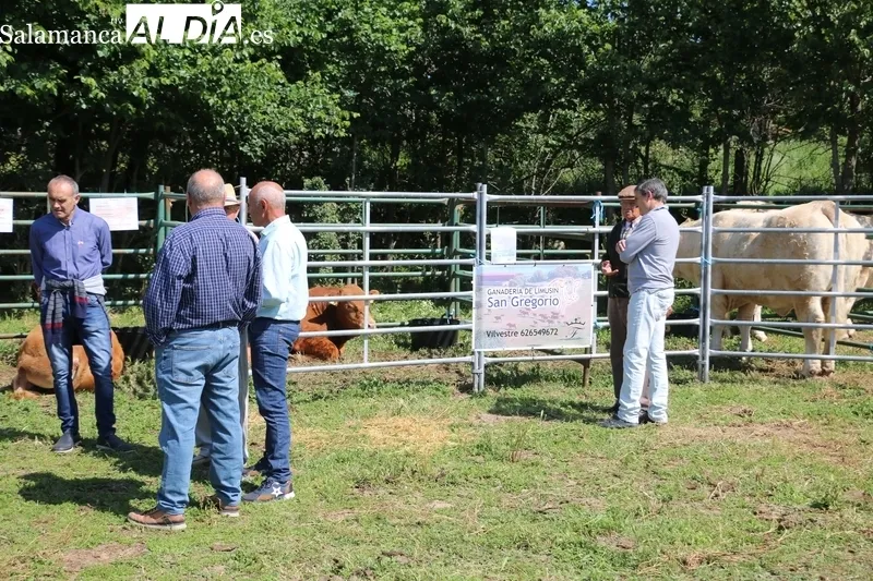 Alfonso Fernández Mañueco muestra su apoyo al sector ganadero en Peralejos de Abajo / CORRAL
