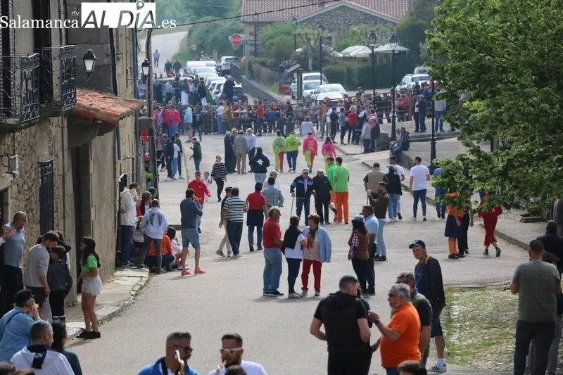 Multitudinario día grande de las fiestas del Noveno en San Felices de los Gallegos / CORRAL