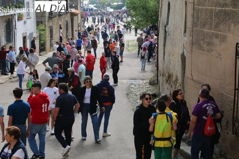Multitudinario día grande de las fiestas del Noveno en San Felices de los Gallegos / CORRAL